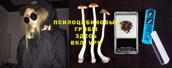 молекула духа Армянск