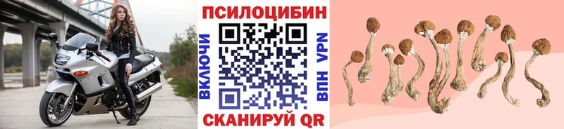 blacksprut tor Светлоград Псилоцибиновые грибы мухоморы